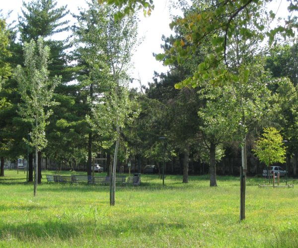 “Quando la natura diventa arte”: a Dolcedo tre giorni di esposizione nel Giardino della Famiglia Bellissima