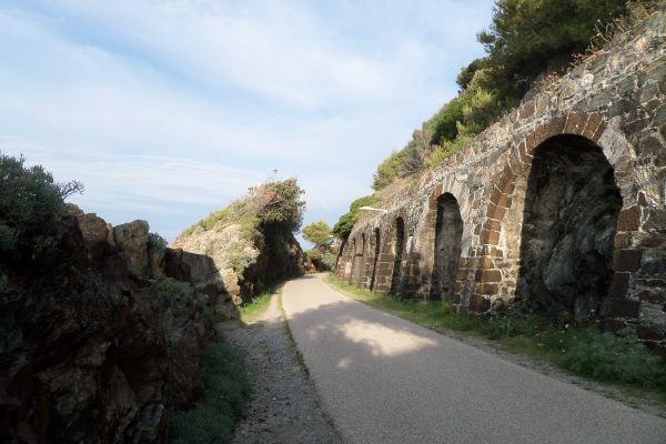 Viaggio nella preistoria a Varazze: ad Alpicella visita tematica e laboratori creativi per bambini