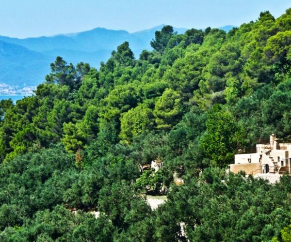 Foto, video e curiosità sulla fauna locale: a Varigotti un incontro sotto le stelle con gli esperti faunistici