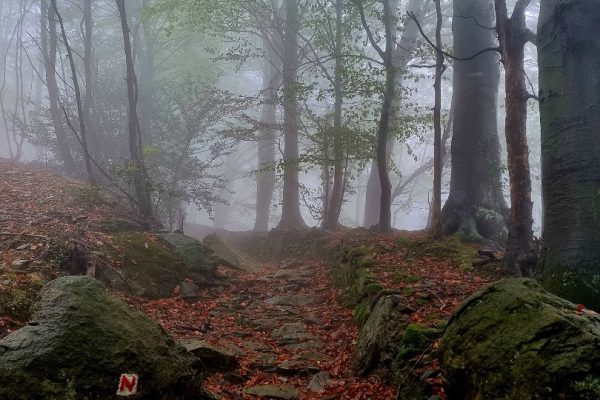 Domenica trekking nel Beigua sulle tracce degli antichi Liguri
