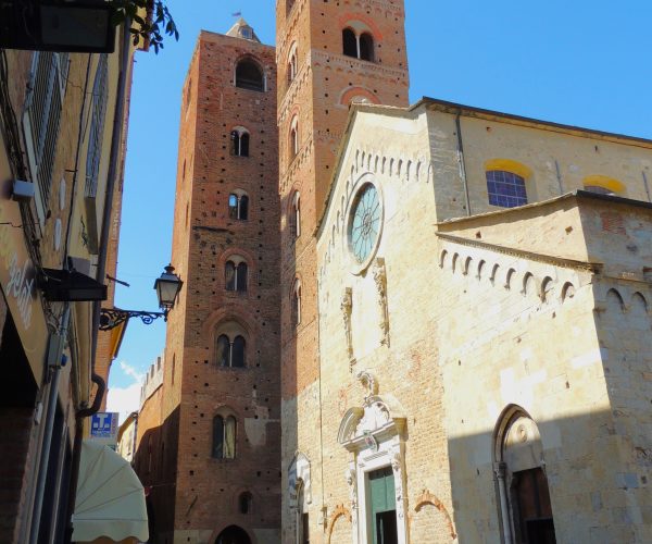 Volti, gesti e tradizioni della filiera agroalimentare: arriva ad Albenga la mostra nazionale “Agrosfera”