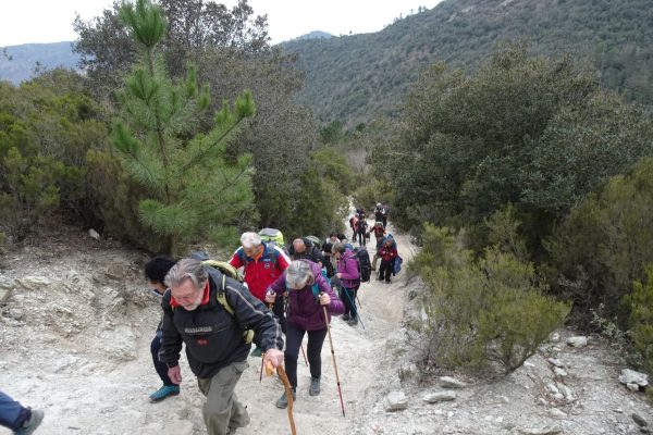 Domenica ad Albenga una passeggiata sul “Cammino di San Martino”