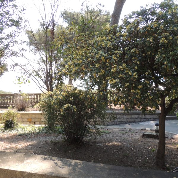 Museo Arte Contemporanea (Maci) a Villa Faravelli