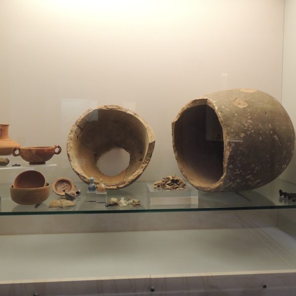 Museo Civico MARM del Lucus Bormani