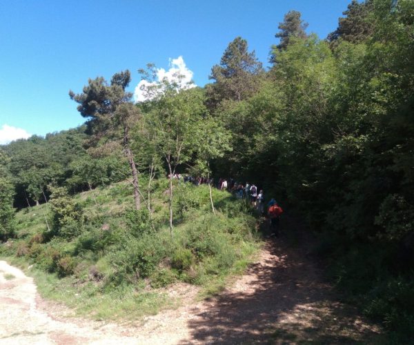 Camminate nella Natura a San Bartolomeo al Mare: il 12 settembre l’escursione gratuita “Vendemmia e Paesaggio”