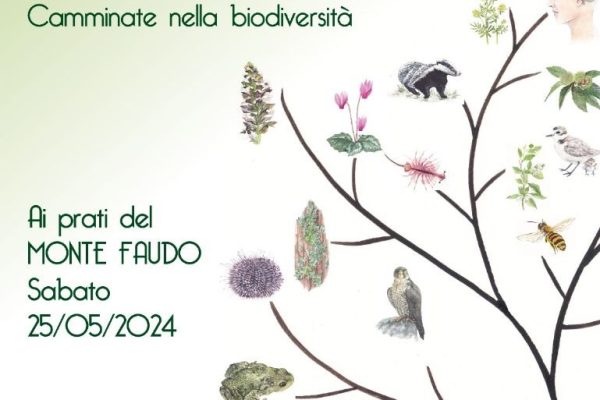 Sabato escursione con Fai alla Casa dei partigiani sul monte Faudo