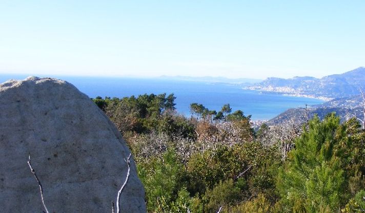 Outdoor: Domenica 26 Gennaio Giro ad anello  Coldirodi – Monte Carparo