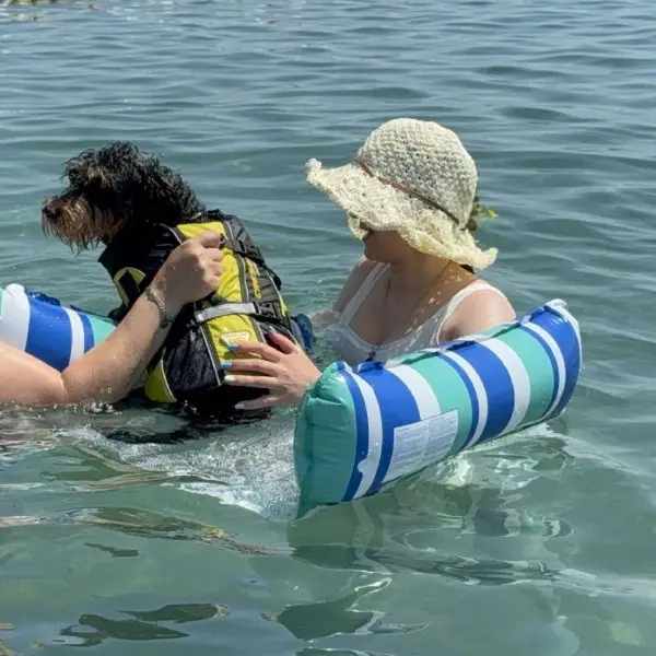 Domenica 5 luglio ad Albenga: Cressi Dog promuove il benessere e la sicurezza dei cani in spiaggia