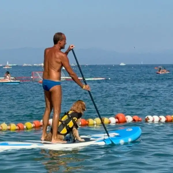 Domenica 5 luglio ad Albenga: Cressi Dog promuove il benessere e la sicurezza dei cani in spiaggia