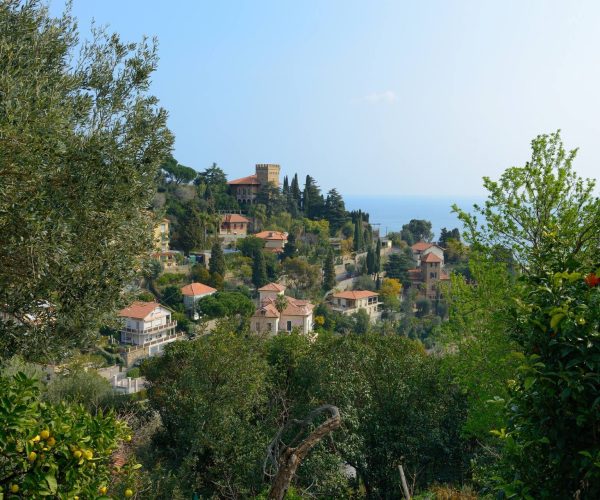Alassio, tra storia, arte e natura: dalle chiese collinari alle pinacoteche, un invito a scoprire il patrimonio della città
