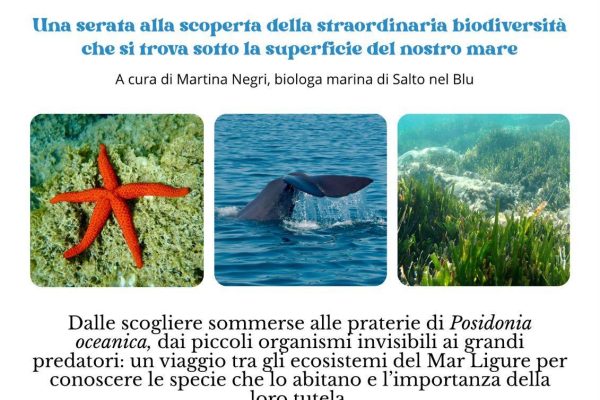 Viaggio tra gli ecosistemi sommersi: a Borghetto l’incontro alla scoperta del mare con la biologa Martina Negri