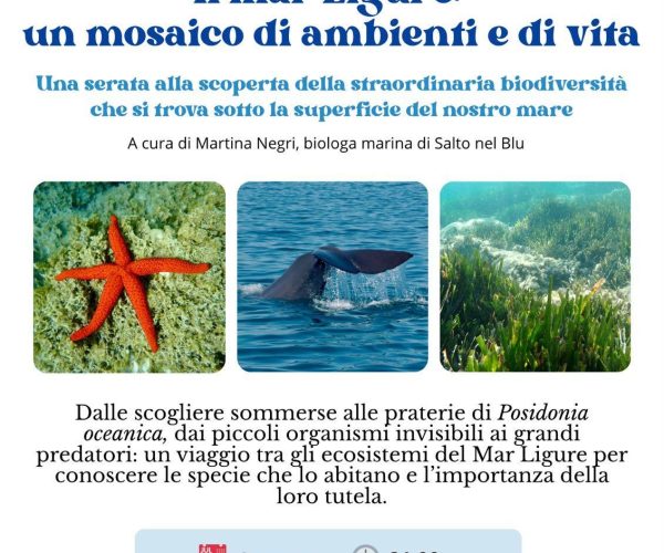 Viaggio tra gli ecosistemi sommersi: a Borghetto l’incontro alla scoperta del mare con la biologa Martina Negri