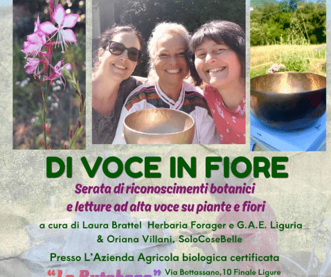 “Di voce in fiore”: una serata tra botanica, letture e cena sul prato a Finale Ligure