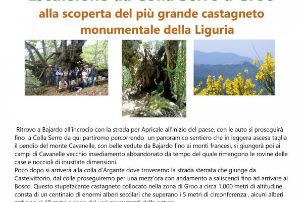 Natura e storia a Castelvittorio: domenica 5 luglio in cammino verso i giganti secolari di Groo
