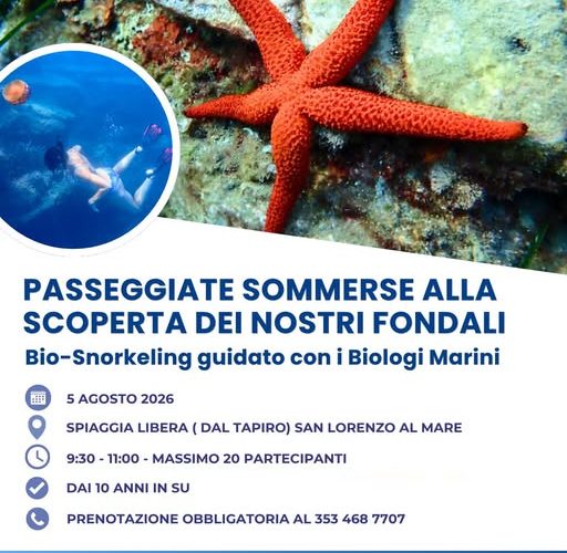 “Passeggiate sommerse” a San Lorenzo al Mare: il 5 agosto bio-snorkeling guidato per scoprire i fondal