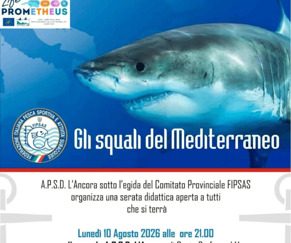 “Gli squali del Mediterraneo”: a Santo Stefano al Mare una serata didattica aperta a tutti