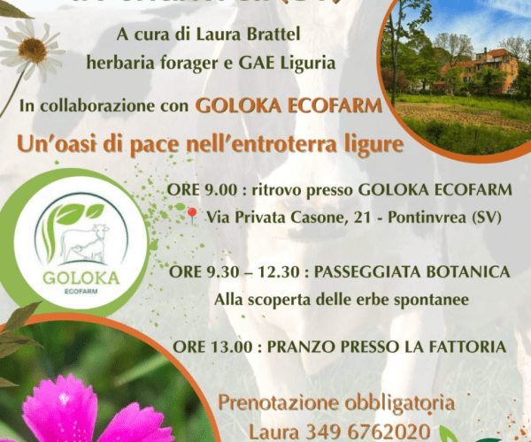 Natura e sapori nell’entroterra ligure: escursione e pranzo alla Goloka Ecofarm di Pontinvrea