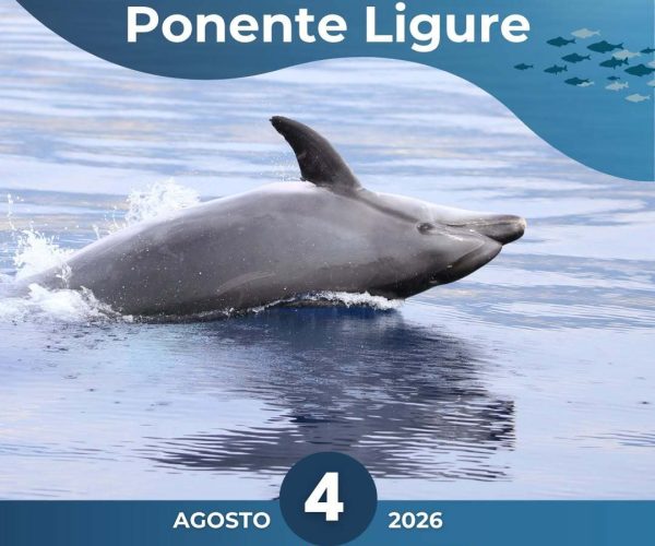 “I delfini del Ponente Ligure”: il 4 agosto serata divulgativa gratuita a Laigueglia