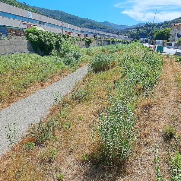 Sicurezza del territorio a Vado Ligure: approvato il piano per la pulizia di torrenti e rii