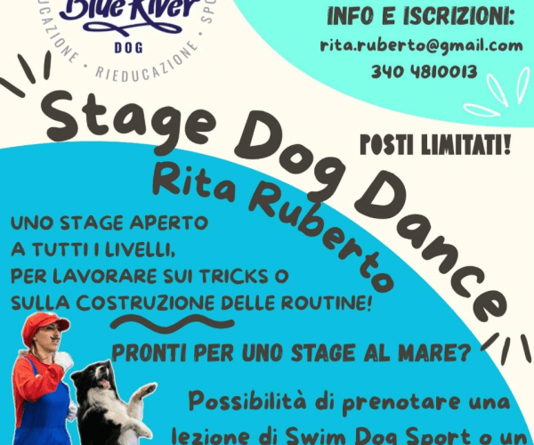 Arriva a Borghetto Santo Spirito lo “Stage Dog Dance”: due giorni dedicati ai cani e ai loro conduttori