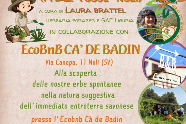 “Andar per erbe a Cà de Badin”: il 12 settembre alla scoperta delle erbe spontanee a Noli
