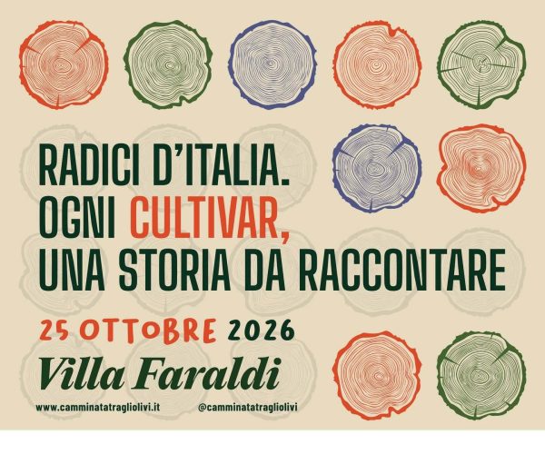 Alla scoperta della Taggiasca: il 25 ottobre la “Camminata tra gli Olivi” fa tappa a Villa Faraldi